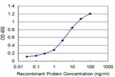 ELISA: ZNF263 Antibody (2A1) [H00010127-M03] - Detection limit for recombinant GST tagged ZNF263 is approximately 0.3ng/ml as a capture antibody.
