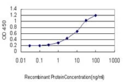 Sandwich ELISA: ZNF313 Antibody (4G3-1A10) [H00055905-M01] - Detection limit for recombinant GST tagged ZNF313 is approximately 0.3ng/ml as a capture antibody.