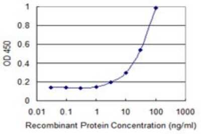 Sandwich ELISA: ZNF35 Antibody (2B4) [H00007584-M03] - Detection limit for recombinant GST tagged ZNF35 is 1 ng/ml as a capture antibody.