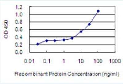 ELISA: ZNF37A Antibody (4H9) [H00007587-M03-100ug] - Detection limit for recombinant GST tagged ZNF37A is 1 ng/ml as a capture antibody.