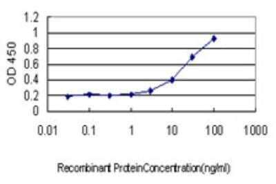 Sandwich ELISA: ZNF37A Antibody (5F9) [H00007587-M01] - Detection limit for recombinant GST tagged ZNF37A is approximately 1ng/ml as a capture antibody.