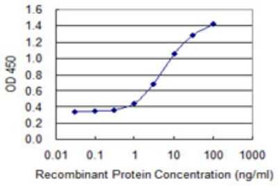 Sandwich ELISA: ZNF398 Antibody (4G3) [H00057541-M10] - Detection limit for recombinant GST tagged ZNF398 is 0.3 ng/ml as a capture antibody.