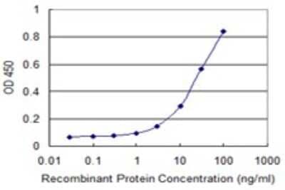 Sandwich ELISA: ZNF483 Antibody (1E7) [H00158399-M01] - Detection limit for recombinant GST tagged ZNF483 is 1 ng/ml as a capture antibody.