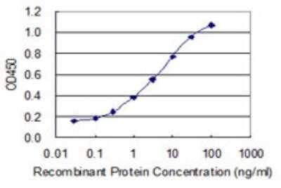 Sandwich ELISA: ZNF7 Antibody (6F2) [H00007553-M04] - Detection limit for recombinant GST tagged ZNF7 is 0.03 ng/ml as a capture antibody.