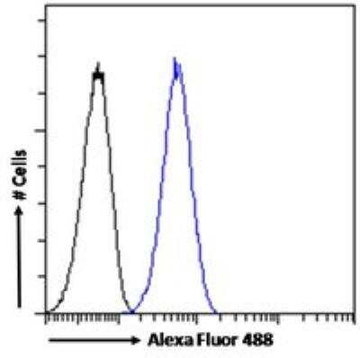 Flow Cytometry: ZNFN1A4 Antibody [NBP3-12160] - Flow cytometric analysis of paraformaldehyde fixed HeLa cells (blue line), permeabilized with 0.5% Triton. Primary incubation 1hr (10ug/ml) followed by Alexa Fluor 488 secondary antibody (1ug/ml). IgG control: Unimmunized goat IgG (black line) followed by Alexa Fluor 488 secondary antibody.