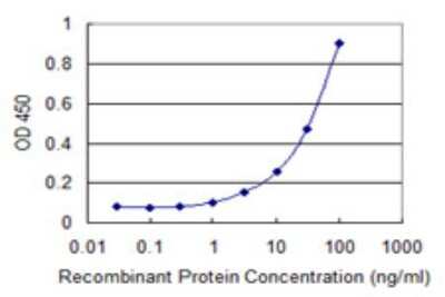 Sandwich ELISA: ZPLD1 Antibody (1D8) [H00131368-M01] - Detection limit for recombinant GST tagged ZPLD1 is 1 ng/ml as a capture antibody.