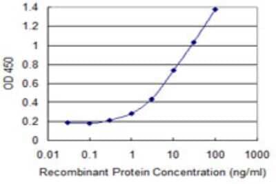 Sandwich ELISA: ZRSR2 Antibody (2H5) [H00008233-M03] - Detection limit for recombinant GST tagged ZRSR2 is 0.1 ng/ml as a capture antibody.