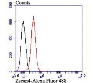 Flow Cytometry: ZSCAN4 Antibody (2-7) [NBP2-75722] - Analysis of HepG2 cells with Zscan4 antibody at 1/100 dilution (red) compared with an unlabelled control (cells without incubation with primary antibody; black). Alexa Fluor 488-conjugated goat anti-mouse IgG was used as the secondary antibody.