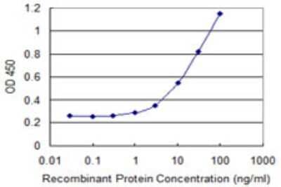 Sandwich ELISA: ZSWIM2 Antibody (2G4) [H00151112-M01] - Detection limit for recombinant GST tagged ZSWIM2 is 0.3 ng/ml as a capture antibody.