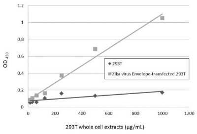 Sandwich ELISA Zika Virus (H/PF/2013) Envelope Antibody (GT363) - Azide and BSA Free