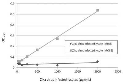 Sandwich ELISA Zika Virus (H/PF/2013) Envelope Antibody (GT363) - Azide and BSA Free