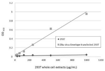 Sandwich ELISA Zika Virus (H/PF/2013) Envelope Antibody - BSA Free