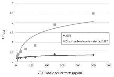 Sandwich ELISA Zika Virus (H/PF/2013) Envelope Antibody - BSA Free