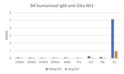 ELISA: Zika Virus NS1 Antibody (B4) - (Uganda/Suriname), Chimeric [NBP3-14840] - An ELISA plate was coated with 10ng and 100ng of NS1 antigen per well, then blocked with 1% BSA. Primary antibody was used at a concentration of 1ug/ml, and the detection antibody used was Goat anti-mouse IgG:HRP (1:2000). The substrate used was TMB (KPL). The assay confirmed high specificity for Zika virus NS1; there was no cross-reactivity with NS1 from Dengue virus serotypes 1-4 (DENV), West Nile virus (WNV), Yellow Fever virus (YFV), Japanese Encephalitis virus (JEV) and Tick-borne Encephalitis virus (TBE).