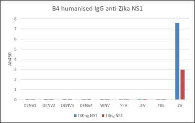 ELISA: Zika Virus NS1 Antibody (B4) - (Uganda/Suriname) [NBP3-14839] - An ELISA plate was coated with 10ng and 100ng of NS1 antigen per well, then blocked with 1% BSA. Primary antibody was used at a concentration of 1ug/ml, and the detection antibody used was Goat anti-mouse IgG:HRP (1:2000). The substrate used was TMB (KPL). The assay confirmed high specificity for Zika virus NS1; there was no cross-reactivity with NS1 from Dengue virus serotypes 1-4 (DENV), West Nile virus (WNV), Yellow Fever virus (YFV), Japanese Encephalitis virus (JEV) and Tick-borne Encephalitis virus (TBE).