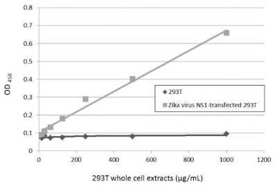 Sandwich ELISA: Zika virus (H/PF/2013) NS1 Antibody (GT5212) [NBP3-13589] - Sandwich ELISA detection of non-transfected and transfected 293T whole cell extracts using NBP3-13589 as capture antibody at concentration of 5 ug/mL and Zika virus NS1 protein antibody as detection antibody at concentration of 1 ug/mL. Rabbit IgG antibody (HRP) (NBP2-19301) was diluted at 1:10000 and used to detect the primary antibody.