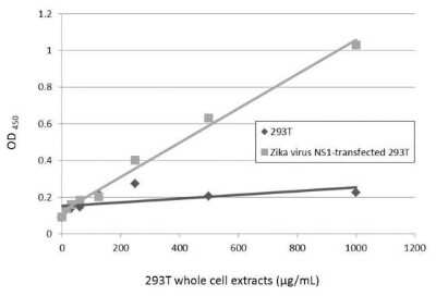Sandwich ELISA Zika virus (H/PF/2013) NS1 Antibody - BSA Free