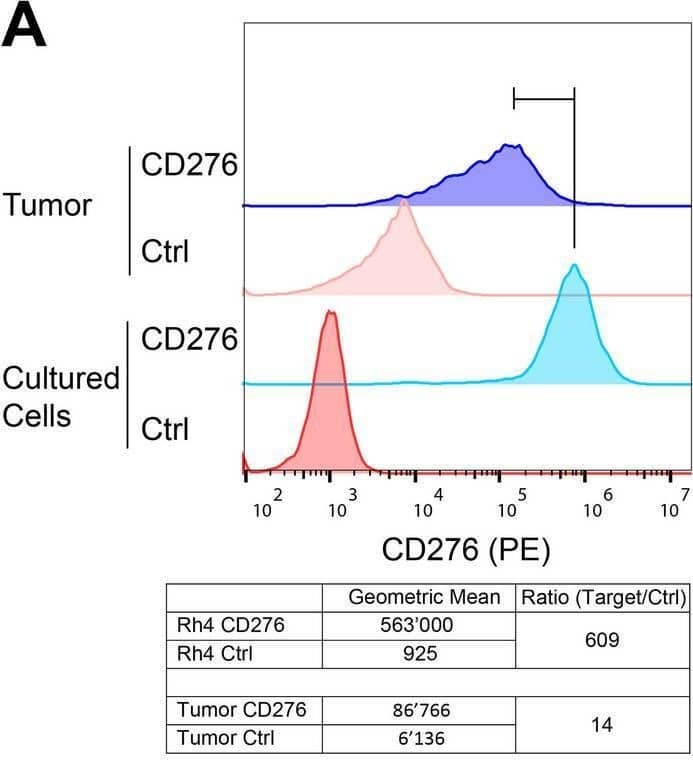 Expression of CD276 and FGFR4 on RMS-derived xenografts. A Expression of CD276 was assessed by Flow Cytometry on untreated Rh4-derived xenograft tumors and compared to cultured wild-type Rh4 cells by using a PE-conjugated anti-CD276 antibody. CD276 expression was calculated dividing the geometric mean of antibody-stained cells by the geometric mean of the controls. CD276 expression showed a lower CD276 expression on Rh4 tumor-derived cells, compared to the cultured Rh4 cells. B Expression of FGFR4 was assessed by Flow Cytometry on Rh4-derived xenograft tumors from untreated mice and compared to cultured wild-type Rh4 cells by using a PE-conjugated anti-FGFR4 antibody. FGFR4 expression was calculated dividing the geometric mean of antibody-stained cells by the geometric mean of the isotype controls. The results indicated a strong decrease in FGFR4 expression in Rh4 tumor xenograft-derived cells. C Assessment of CD276 and FGFR4 expression in tumor xenografts tissue by IHC. After treatment, CD276 is still highly detectable on RD- and Rh4-derived tumor xenografts, but low staining detection was observed in JR-derived tumors. FGFR4 seems expressed at low levels on RD, at medium levels on JR, and at high levels on Rh4 Image collected and cropped by CiteAb from the following open publication (//pubmed.ncbi.nlm.nih.gov/37924157), licensed under a CC-BY license. Not internally tested by R&D Systems.