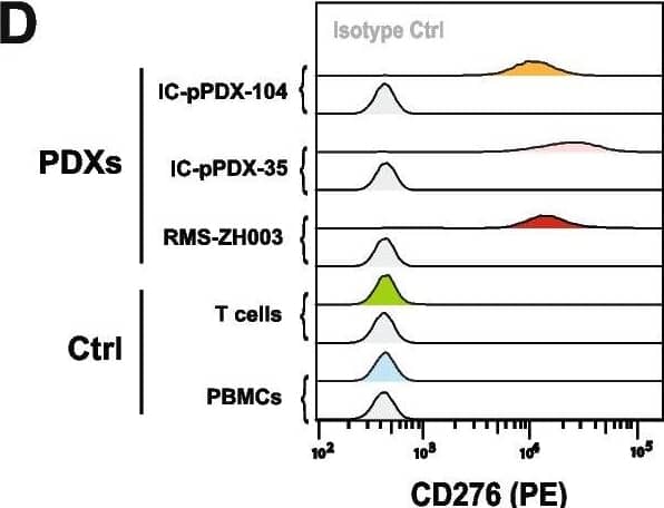 CD276 expression in RMS cell lines and PDXs. A CD276 expression levels were evaluated in eleven RMS cell lines, three PDXs, myoblasts, PBMCs, and isolated T cells by WB, revealing high expression in all RMS cell lines, except for the FP-RMS JR and RMS, the FN-RMS Rh18, medium–high levels in the three investigated PDXs, and no detection in the controls. B Surface CD276 expression on eleven RMS cell lines, and myoblasts, PBMCs, and T cells as controls, was assessed by Flow Cytometry confirming high expression of CD276 in all the considered RMS samples, especially in RUCH-3, RD and Rh4, and no detectable expression in the controls. The correspondent isotype controls are shaded in light grey. C The number of CD276 molecules on the surface of RMS cells, PDXs, and controls was estimated by Quantibrite PE beads. D Surface CD276 expression on three RMS PDXs, and PBMCs and T cells, as controls, was assessed by Flow Cytometry confirming high expression of CD276 in all the three PDXs. The correspondent isotype controls are shaded in light grey. E The number of CD276 molecules on the surface of RMS PDXs and controls was estimated by Quantibrite PE beads Image collected and cropped by CiteAb from the following open publication (//pubmed.ncbi.nlm.nih.gov/37924157), licensed under a CC-BY license. Not internally tested by R&D Systems.