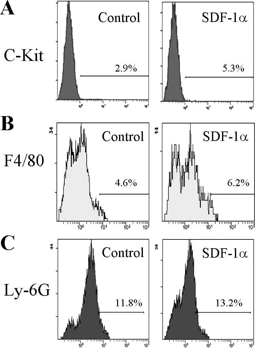 c-kit-, F4/80- or Ly-6G-positive cell numbers in cornea after alkali injury. Corneal tissues were obtained 4 days after injury from vehicle- or SDF-1 alpha -treated BABL/c mice, and the tissues from 7 to 8 mice were combined and were subjected to analysis using a flow cytometer after being immunostained with anti-c-kit, anti-F4/80, or anti-Ly-6G antibody. Isotype IgG derived from the same species of the test antibody was used as negative control. Representative results from three to four tests of intracorneal infitlration of c-kit- (A), F4/80- (B), or Ly-6G-positive cells (C) from either vehicle- (left plot) or SDF-1 alpha -treated mice (right plot) are shown. Image collected and cropped by CiteAb from the following open publication (//pubmed.ncbi.nlm.nih.gov/21850188), licensed under a CC-BY license. Not internally tested by R&D Systems.