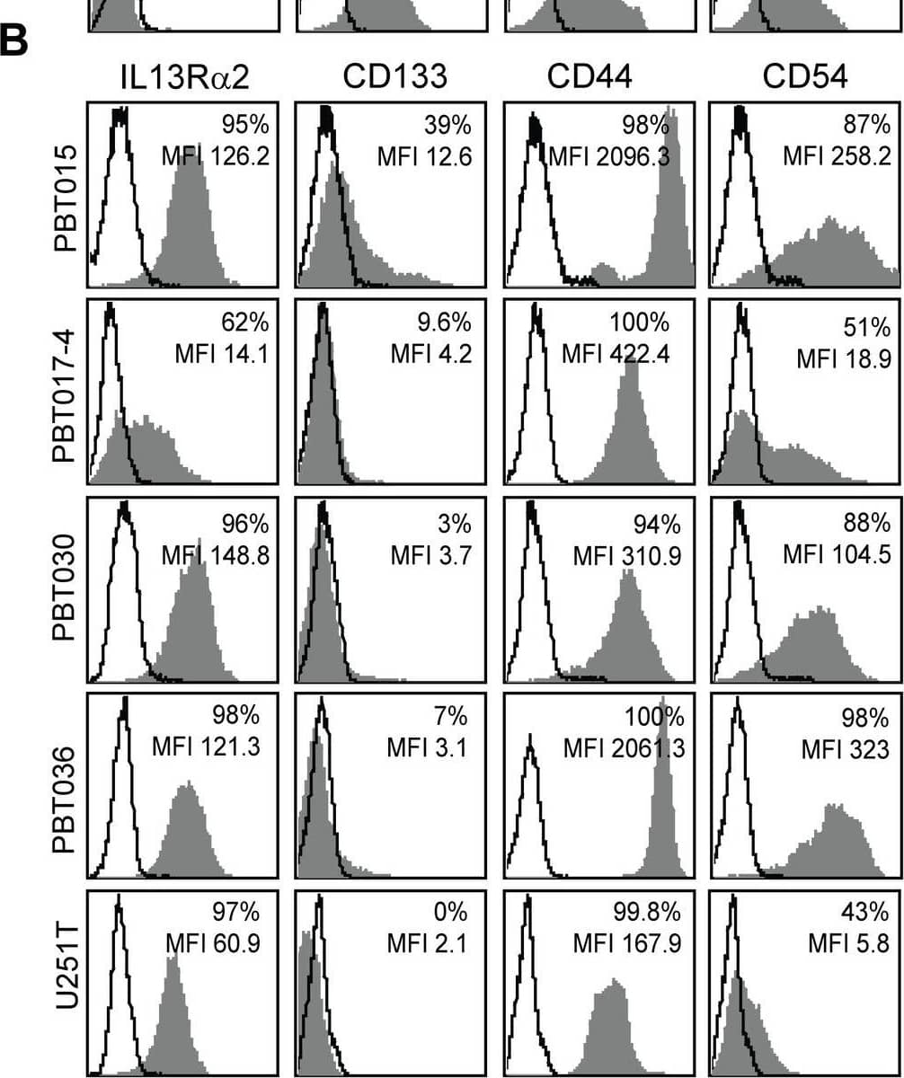 IL13R alpha 2 expression is associated with mesenchymal gene expression in low-passage primary glioma cell lines.Flow cytometry analyses of (A) IL13R alpha 2-negative glioma cell lines (PBT003-4, PBT008, PBT009, PBT022), and (B) IL13R alpha 2-positive glioma cell lines (PBT015, PBT017-4, PBT030, PBT036, and U251T) for expression of the proneural marker CD133 and mesenchymal markers CD44 and CD54/ICAM-1 (grey histograms). Solid lines show isotype and secondary control antibodies. (C) Comparison of mean fluorescence intensity (MFI) of IL13R alpha 2-negative and IL13R alpha 2-positive glioma cell lines shown in panels A and B. (D-E) Distribution plots of Affymetrix gene array expression analyses of (D) IL13R alpha 2-negative and (E) IL13R alpha 2-positive glioma cell lines for mesenchymal, classical, neural and proneural signature gene expression. (F) Correlation of mesenchymal (MES) versus proneural (PN) average gene expression with RMA normalized IL13R alpha 2 expression in glioma cell lines. Image collected and cropped by CiteAb from the following open publication (//pubmed.ncbi.nlm.nih.gov/24204956), licensed under a CC-BY license. Not internally tested by R&D Systems.