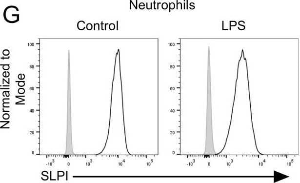 LPS induces changes in expression pattern of SLPI in selected immune cell populations in vivo. (A) Total blood CD45+ leukocyte number isolated from WT and Slpi-/- mice injected with PBS or LPS for 24h. (B) Representative gating for neutrophils (CD11b+Ly6G+SiglecF-), eosinophils (CD11b+Ly6G-SiglecF+) and monocytes (CD11b+Ly6C+Ly6G-) as in (A). (C) Percentage of neutrophils, eosinophils and monocytes isolated as in (A). (D) Percentage of Ly6Chi, MHC II+F4/80+ and Ly6Clow monocytes isolated as in (A). (E) Representative gating of Ly6Chi (CD11b+Ly6Chigh), MHC II+F4/80+ and Ly6Clow monocytes isolated as in (A). (F, G) SLPI expression in blood neutrophils isolated from WT (black line) and Slpi-/- mice (shaded histogram) injected with PBS or LPS for 24h.Data represented as mean ± SEM of fold change in geometrical MFI values (WT vs Slpi-/-). (H) SLPI expression in blood monocytes represented as a fold change in geometrical MFI values (WT vs Slpi-/-). (I) Representative histograms of SLPI expression in blood monocytes isolated from WT (black line) and Slpi-/- mice (shaded histogram) injected with PBS or LPS for 24h. (A, C, D, F, H) Data represent 7 to 8 mice per experimental group pooled from three independent experiments Error bars show means ± SEM. (A, C, D, F) Control vs LPS or WT vs Slpi-/- * p<0.05, **p<0.01, ***p<0.001, ****p<0.0001 by one-way ANOVA, Tukey post hoc test. (H) WT Ly6Chi monocytes vs WT Ly6Clow monocytes ****p<0.0001 by one-way ANOVA, Tukey post hoc test. Image collected and cropped by CiteAb from the following open publication (//pubmed.ncbi.nlm.nih.gov/40496854), licensed under a CC-BY license. Not internally tested by R&D Systems.