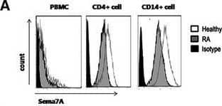 Flow Cytometry Semaphorin 7A Antibody [Unconjugated]