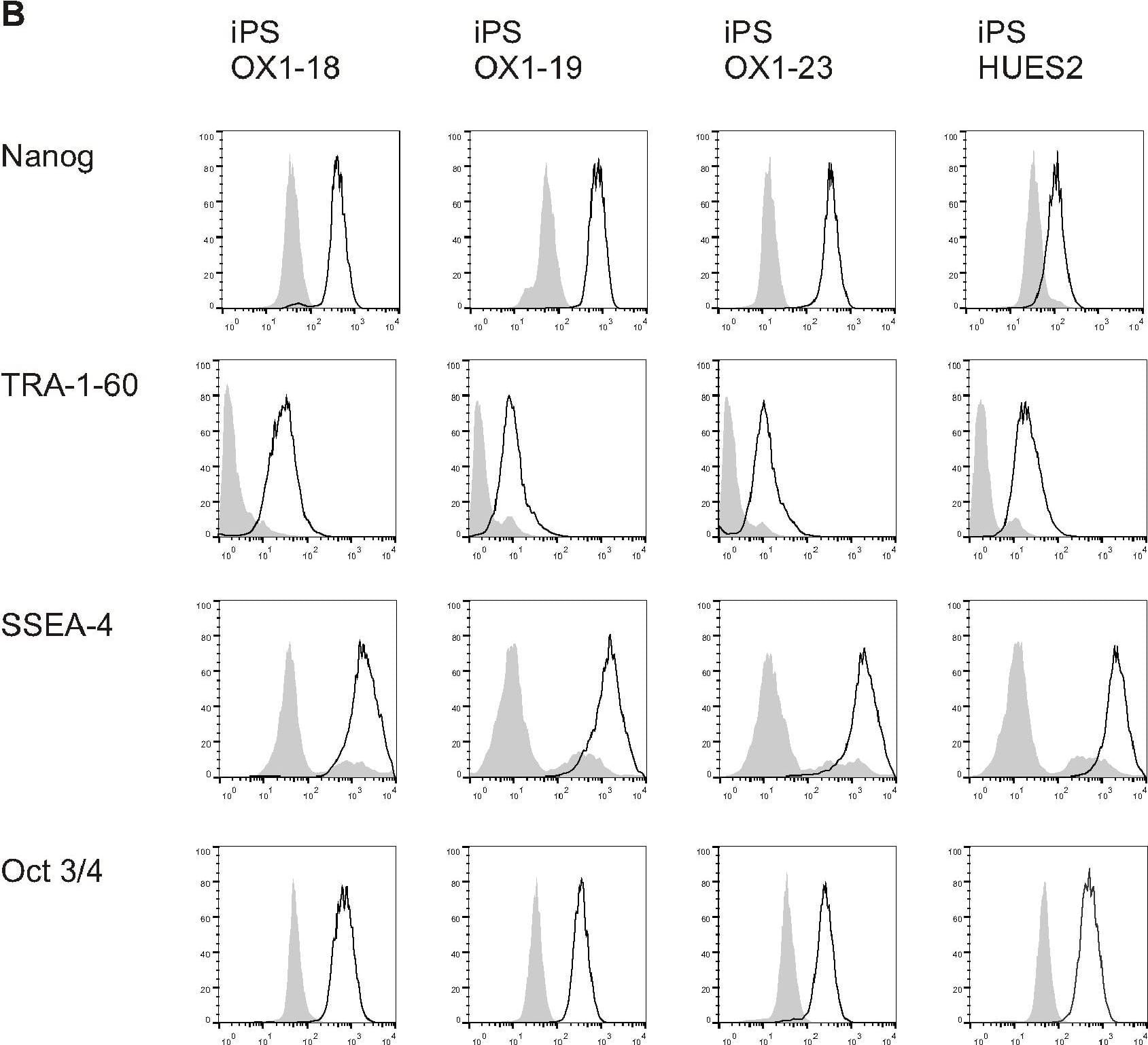 Phenotype of human Pluripotent Stem Cell lines.A) PluriTest analysis of Illumina HT12v4 transcriptome array data shows iPS-OX1-18, iPS-OX1-19 and iPS-OX1-23 to cluster with pluripotent stem cells (red cloud) and not with partly- or differentiated cells (blue clouds). Each circle represents one hiPSC line. B) Expression of human pluripotent stem cell markers. Surface expression of TRA-1-60 and SSEA-4, as well as total expression of Nanog and Oct 3/4, were measured by flow cytometry. Histograms represent surface staining (black line) compared to the isotype control (shaded gray). Image collected and cropped by CiteAb from the following open publication (//pubmed.ncbi.nlm.nih.gov/23951090), licensed under a CC-BY license. Not internally tested by R&D Systems.