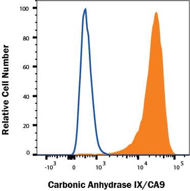 U87-MG cells were stained with Goat Anti-Human Carbonic Anhydrase IX/CA9 Antigen Affinity-purified Polyclonal Antibody (Catalog # AF2188, filled histogram) or isotype control antibody (Catalog # AB-108-C, open histogram), followed by Phycoerythrin-conjugated Anti-Goat IgG Secondary Antibody (Catalog # F0107). View our protocol for Staining Membrane-associated Proteins. 