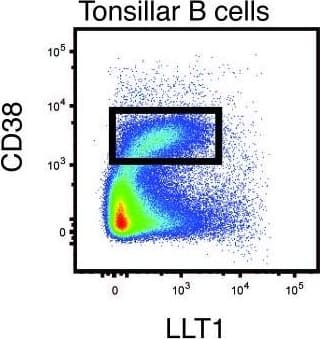 LLT1 is expressed on B cells and monocytes.Lectin-like transcript 1 (LLT1) (stained using the 2H7 mAb) and CD161 levels were measured by flow cytometry in monocytes (M) and lymphocytes (L). (A) The gating strategy, (B) representative and cumulative data for the expression of CD161 (blue) and LLT1 (green) compared to the isotype control (IC, red) (n=4). (C) Representative image of LLT1 staining in human tonsil tissue using the 2H7 anti-LLT1 antibody (10×; n=6), together with a representative FACS plot of LLT1 staining of purified tonsillar B cells with the 2H7 antibody. The GC population is highlighted (rectangle; n=8). (D) Immunofluorescent co-staining of LLT1 (red) and CD68 (green) in lung and liver (scale bar = 100μm). Representative of two independent experiments. Image collected and cropped by CiteAb from the following open publication (//pubmed.ncbi.nlm.nih.gov/28413611), licensed under a CC-BY license. Not internally tested by R&D Systems.