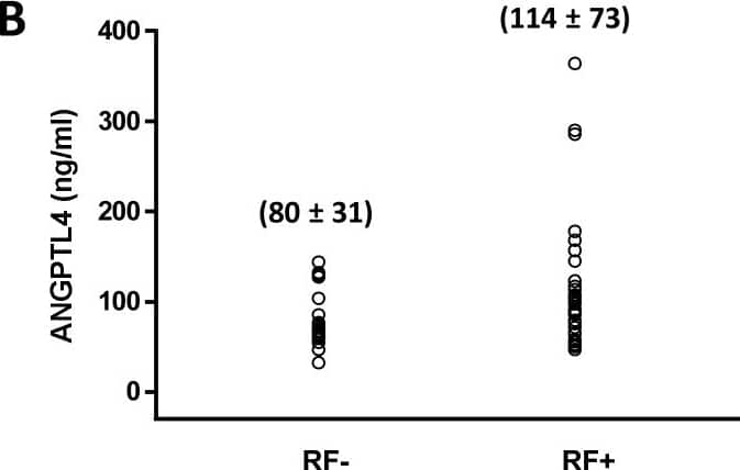 Recombinant Human Angiopoietin‑like Protein 4/ANGPTL4 (Catalog # <a class=