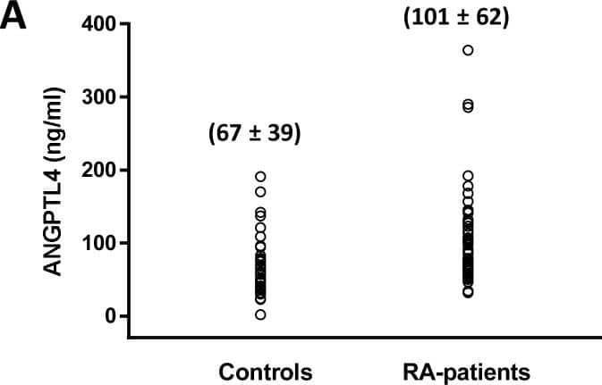 Recombinant Human Angiopoietin‑like Protein 4/ANGPTL4 (Catalog # <a class=