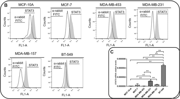 Interleukin 6 (IL-6) and STAT3 expression in BC cells. (A) IL-6 levels were measured by ELISA assay in supernatants of MCF-10, MCF-7, MDA-MB-231, BT-549, MDA-MB-157 and MDA-MB-453 cells. IL-6 mRNA relative levels of MCF-10, MCF-7, MDA-MB-231, BT-549, MDA-MB-157 and MDA-MB-453 cells were also recorded. (B) Expression of activated STAT3 (STAT3pY705) in MCF-10, MCF-7, MDA-MB-231, BT-549, MDA-MB-157 and MDA-MB-453 cells was analyzed by flow cytometry (gray peak). As the negative control, the secondary antibody alone was used (white peak). (C) STAT3 mRNA relative levels of MCF-10, MCF-7, MDA-MB-231, BT-549, MDA-MB-157 and MDA-MB-453 cells. (D) STAT3 phosphorylation levels (STAT3pY705-dark gray peak with tracing line) were analyzed in MDA-MB-231 and MDA-MB-157 cells treated with Tocilizumab (TCZ), recombinant IL-6 (rIL-6) and STAT3 inhibitor, STATTIC (STC). As the negative control, the secondary antibody alone was used (white peak). * p < 0.05; ** p < 0.001. Three independent experiments were performed. Image collected and cropped by CiteAb from the following open publication (//pubmed.ncbi.nlm.nih.gov/35626741), licensed under a CC-BY license. Not internally tested by R&D Systems.