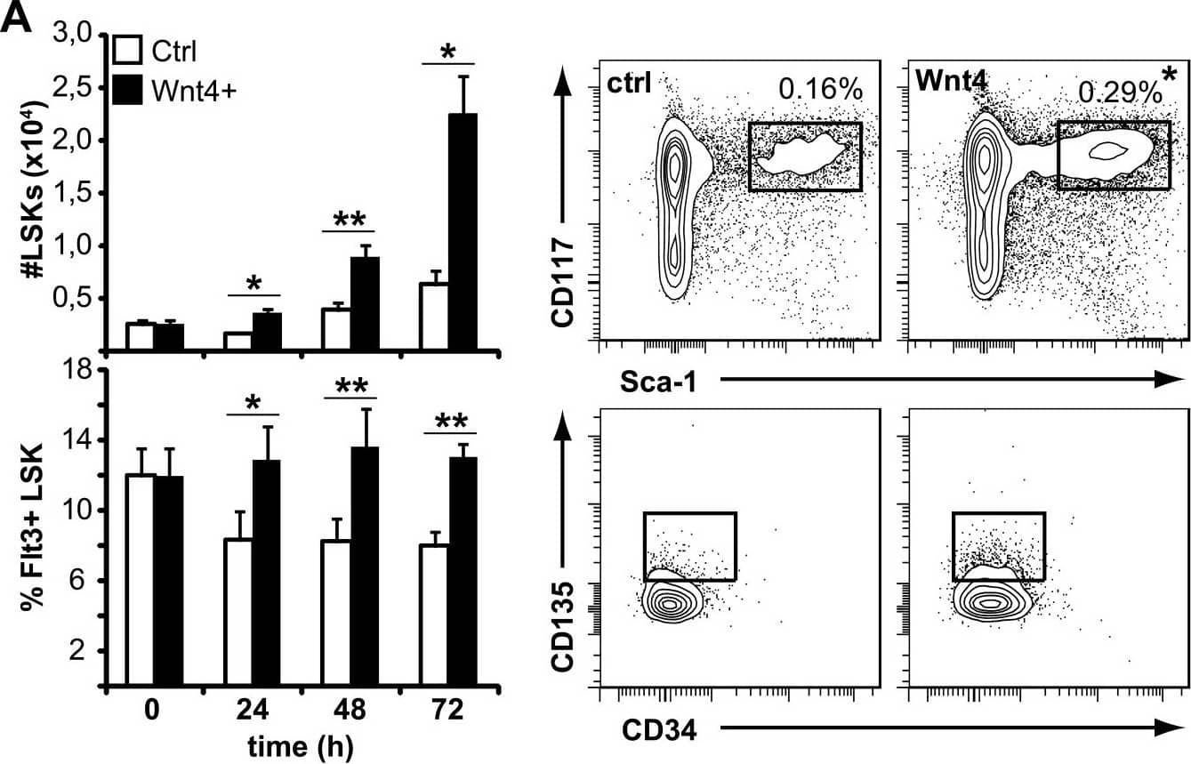 Flow Cytometry Wnt-4 Antibody