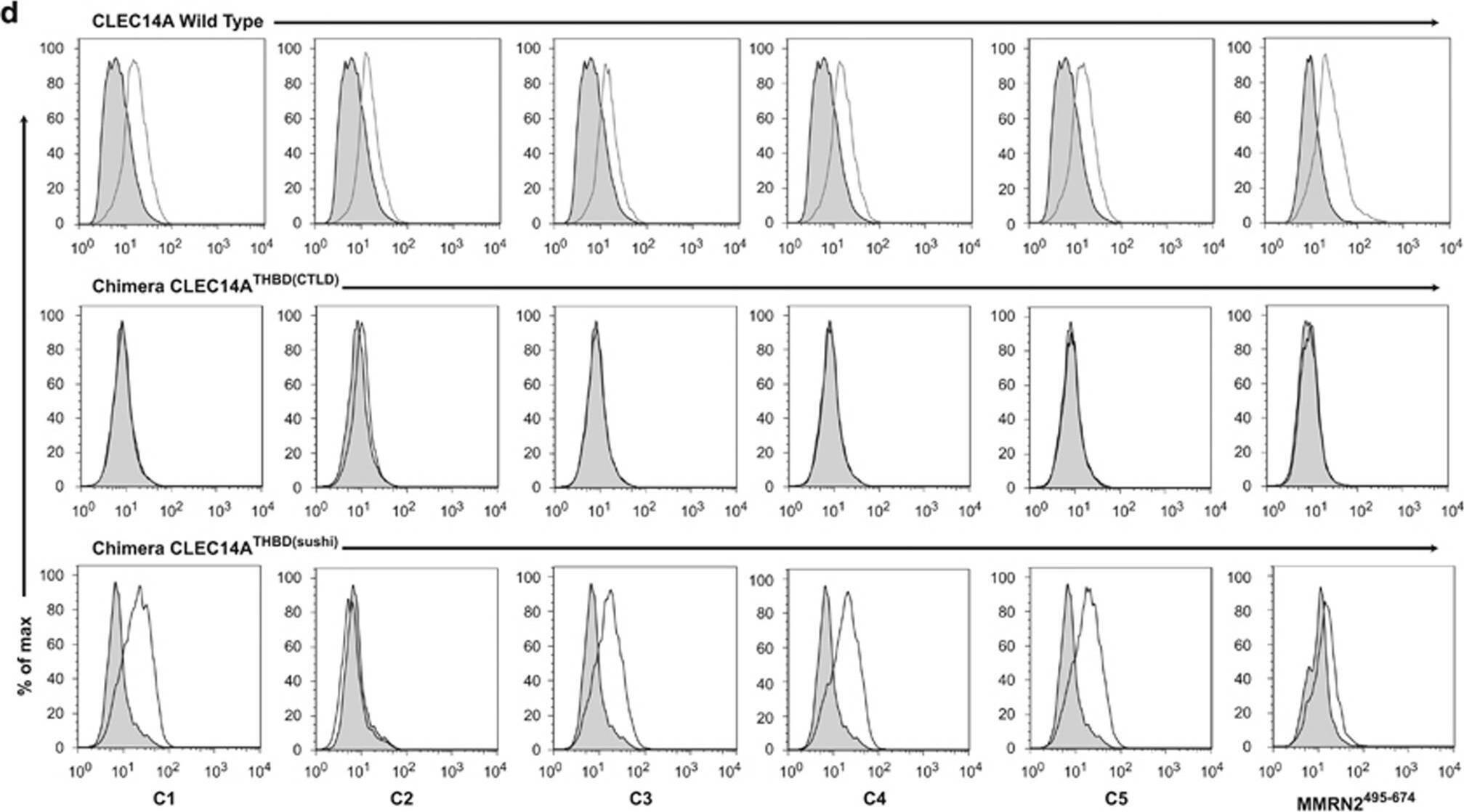 Flow Cytometry CLEC14A Antibody [Unconjugated]
