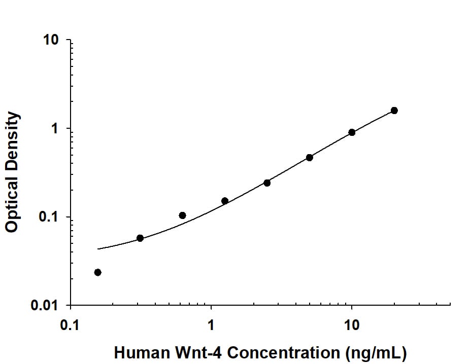 Recombinant Human Wnt-4 protein was serially diluted 2-fold and captured by Rat Anti-Human/Mouse Wnt-4 Monoclonal Antibody (MAB475) coated on a Clear Polystyrene Microplate (DY990). Sheep Anti-Human Wnt-4 Antigen Affinity-purified Polyclonal Antibody (Catalog # AF6076) was biotinylated and incubated with the protein captured on the plate. Detection of the standard curve was achieved by incubating Streptavidin-HRP (DY998) followed by Substrate Solution (DY999) and stopping the enzymatic reaction with Stop Solution (DY994).