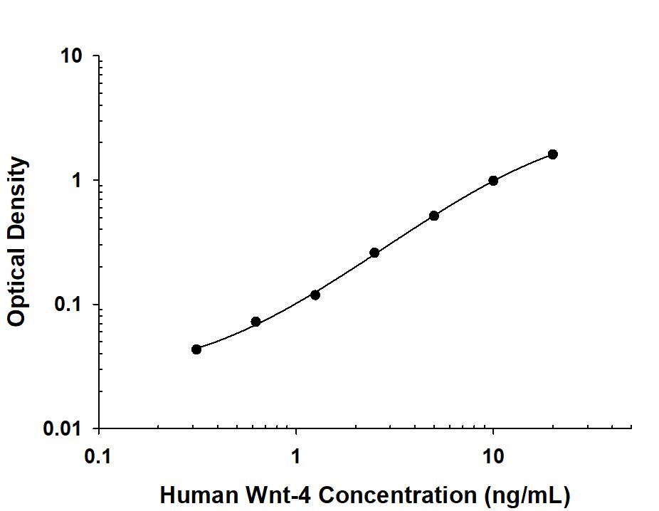 Recombinant Human Wnt-4 protein was serially diluted 2-fold and captured by Rat Anti-Human/Mouse Wnt-4 Monoclonal Antibody (MAB4751 coated on a Clear Polystyrene Microplate (DY990). Sheep Anti-Human Wnt-4 Antigen Affinity-purified Polyclonal Antibody (Catalog # AF6076) was biotinylated and incubated with the protein captured on the plate. Detection of the standard curve was achieved by incubating Streptavidin-HRP (DY998) followed by Substrate Solution (DY999) and stopping the enzymatic reaction with Stop Solution (DY994).