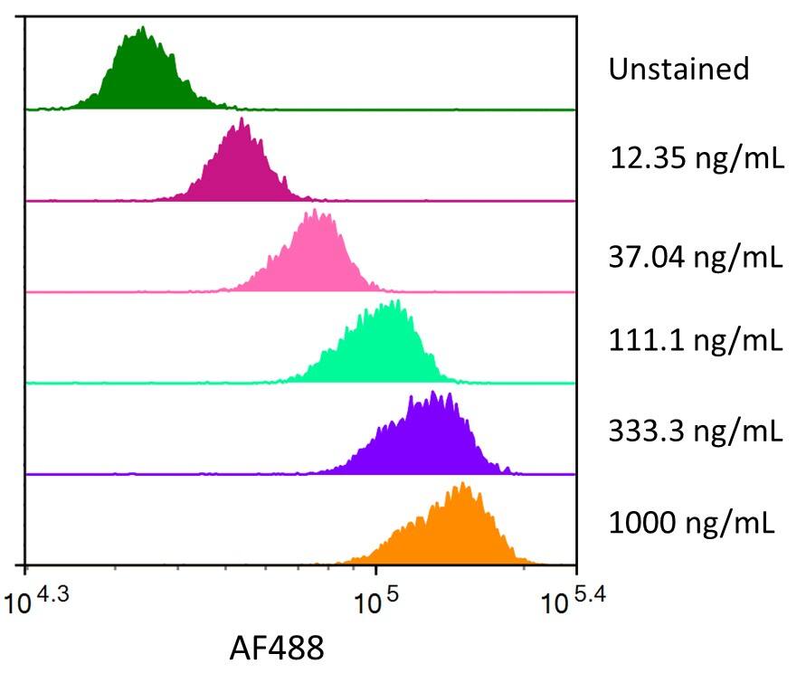 Streptavidin coated beads conjugated to biotinylated anti-Human MUC-1 Monoclonal Antibody were stained with the indicated concentrations of Recombinant Human MUC-1 Fc Chimera Alexa Fluor® 488 (Catalog # AFG10332). 