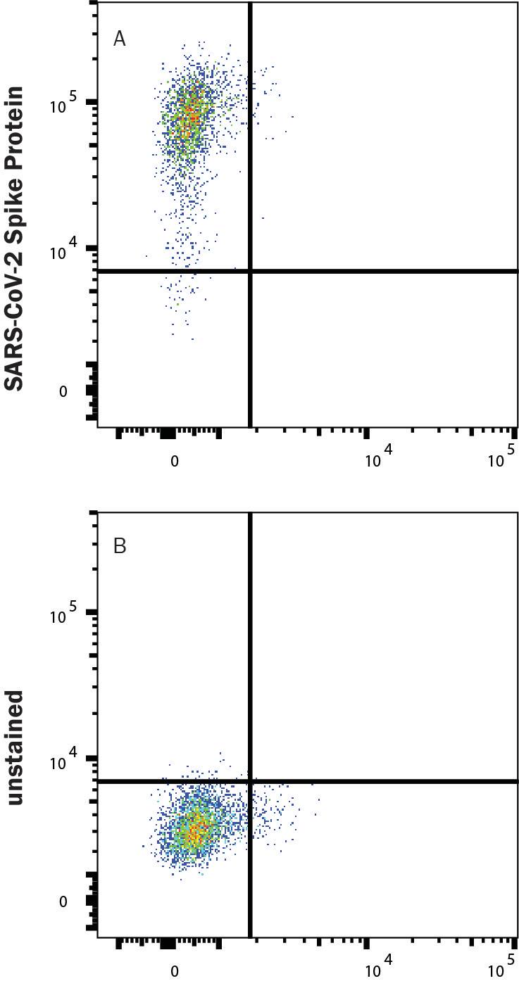 HEK293 human embryonic kidney cells transfected with human ACE-2 were stained with (A) 1 µg/mL (100 µL/well) Recombinant SARS-CoV-2 Spike B.1.617.2 (GCN4-IZ) His-tag Alexa Fluor® 488 Protein (Catalog # AFG10878) or (B) unstained.