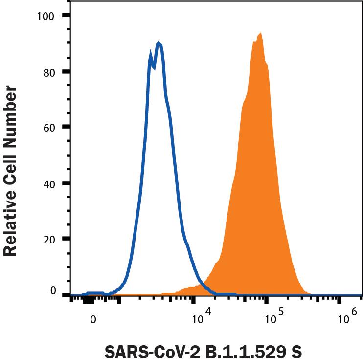 HEK293 human embryonic kidney cells transfected with human ACE-2 were stained with (A) Recombinant SARS-CoV-2 B.1.1.529 Spike His-tag Alexa Fluor® 488 (Catalog # AFG11060, filled histogram) or (B) unstained (open histogram).