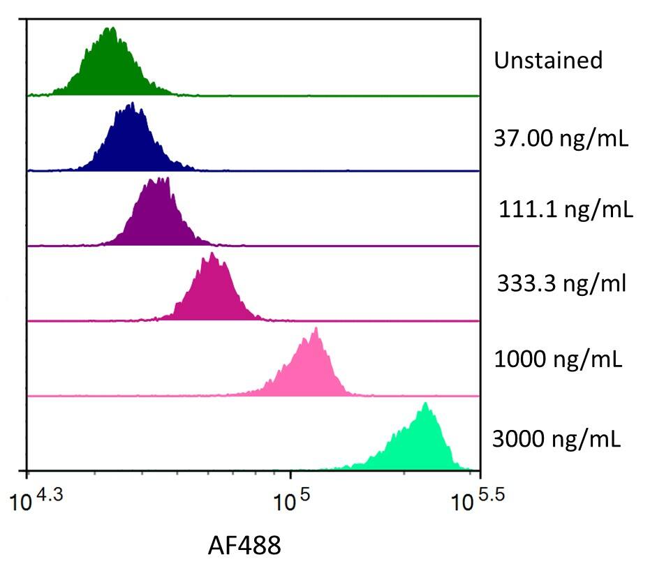 Streptavidin coated beads conjugated to biotinylated anti-human ErbB2/Her2 Monoclonal Antibody were stained with the indicated concentrations of Recombinant Human ErbB2/Her2 Fc Chimera His-tag Alexa Fluor® 488 (Catalog # AFG1129). 