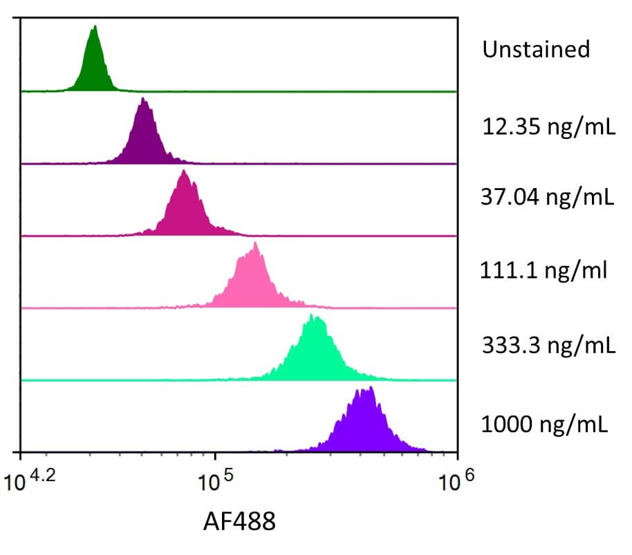 Streptavidin coated beads conjugated to biotinylated anti-Human Siglec‑3/CD33 Monoclonal Antibody were stained with the indicated concentrations of Recombinant Human Siglec‑3/CD33 Fc Chimera Alexa Fluor® 488 (Catalog # AFG1137). 