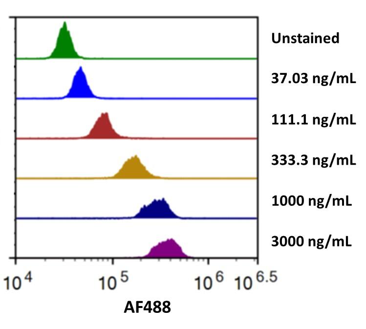 Streptavidin coated beads conjugated to Human B7-H2 Biotinylated Antibody were stained with the indicated concentrations of Recombinant Human B7‑H2 Fc Chimera Alexa Fluor® 488 (Catalog # AFG165). 