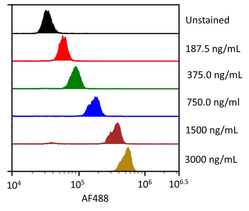 Streptavidin coated beads conjugated to biotinylated anti-human Siglec‑2/CD22 Monoclonal Antibody were stained with the indicated concentrations of Recombinant Human Siglec‑2/CD22 Fc Chimera Alexa Fluor® 488 (Catalog # AFG1968). 