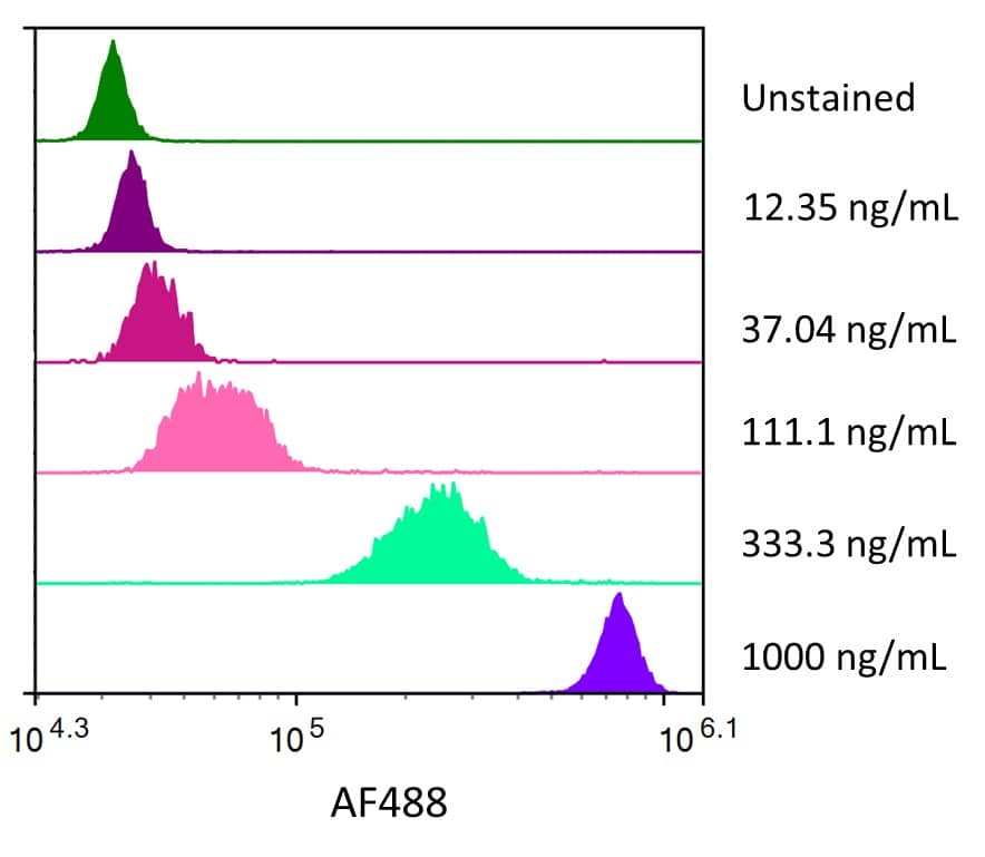 Streptavidin coated beads conjugated to biotinylated anti-Human OX40/TNFRSF4 Monoclonal Antibody were stained with the indicated concentrations of Recombinant Human OX40/TNFRSF4 Fc Chimera Alexa Fluor® 488 (Catalog# AFG3388).