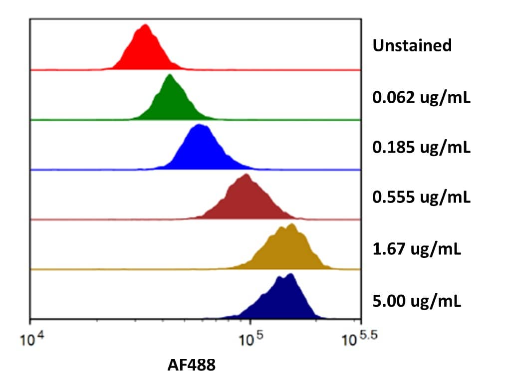 Streptavidin coated beads conjugated to biotinylated anti-human IL‑13 R alpha 2 Antibody (BAF614) were stained with the indicated concentrations of Recombinant Human IL‑13 R alpha 2 Fc Chimera Alexa Fluor® 488 (Catalog # AFG7147). 