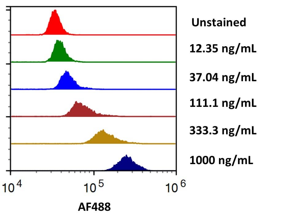 Streptavidin coated beads conjugated to biotinylated Anti-Human B7‑2/CD86 were stained with the indicated concentrations of Recombinant Human B7‑2/CD86 Fc Chimera Alexa Fluor® 488 (Catalog # AFG7625). 