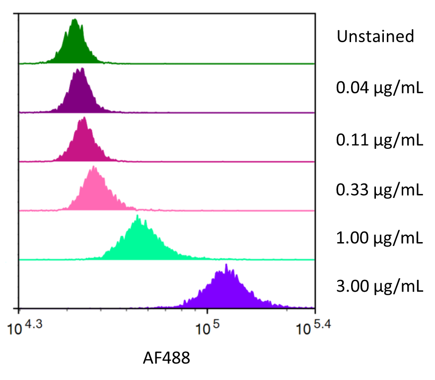 Streptavidin coated beads conjugated to biotinylated Human CD19 Monoclonal Antibody were stained with the indicated concentrations of Recombinant Human CD19 Fc Chimera Alexa Fluor® 488 (Catalog # AFG9269). 