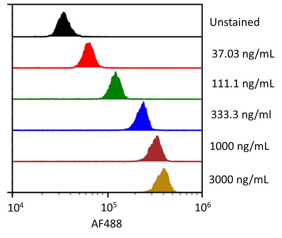 Streptavidin coated beads conjugated to biotinylated anti-human EMMPRIN/CD147 Monoclonal Antibody were stained with the indicated concentrations of Recombinant Human EMMPRIN/CD147 Fc Chimera Alexa Fluor® 488 (Catalog # AFG972). 