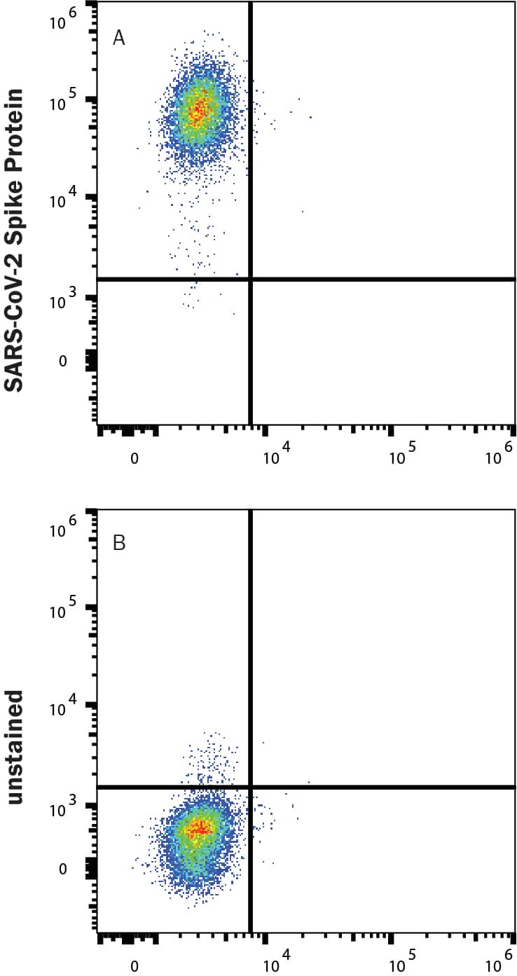 HEK293 human embryonic kidney cells transfected with human ACE-2 were stained with (A) 1 µg/mL (100 µL/well) Recombinant SARS-CoV-2 Spike (GCN4-IZ) His-tag Alexa Fluor® 488 Protein (Catalog # AFG10561) or (B) unstained.